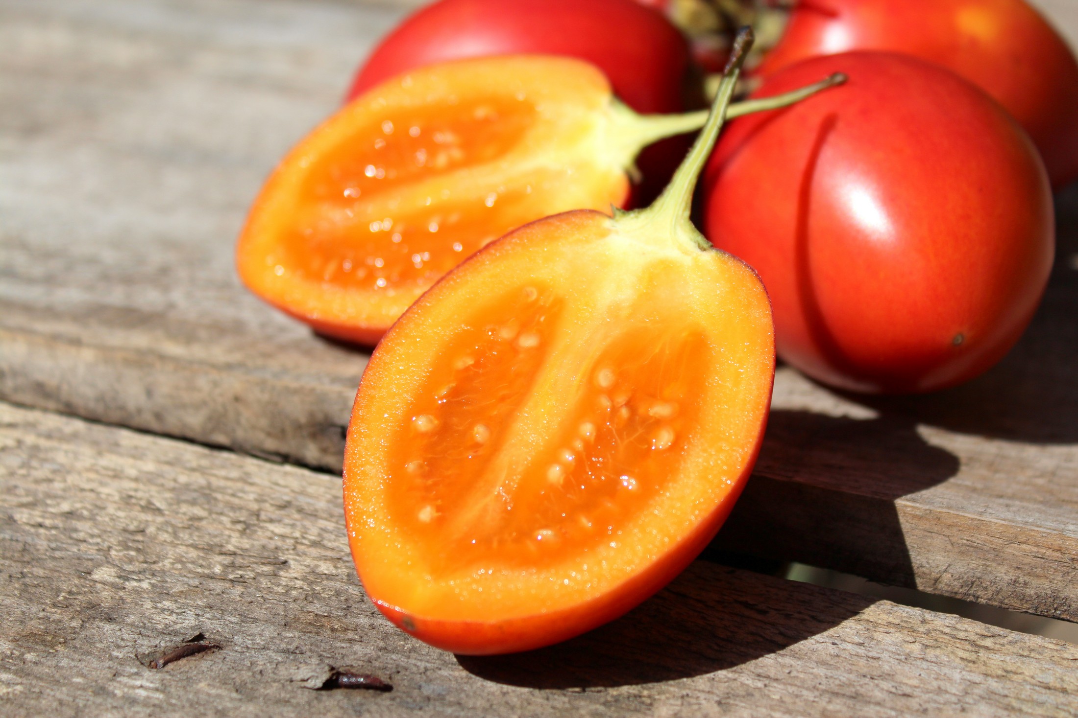 Tamarillo o Tomate de árbol, una exótica y deliciosa fruta