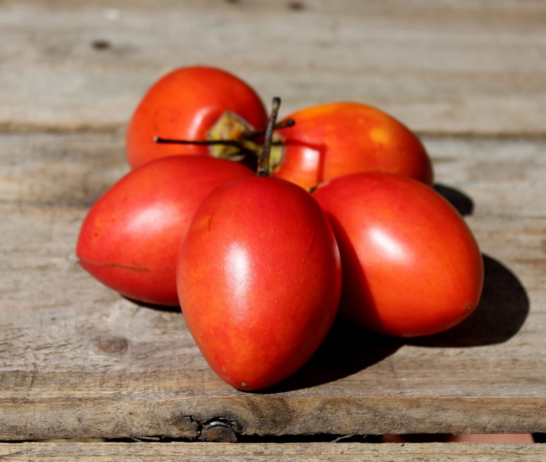 Tamarillo o Tomate de árbol