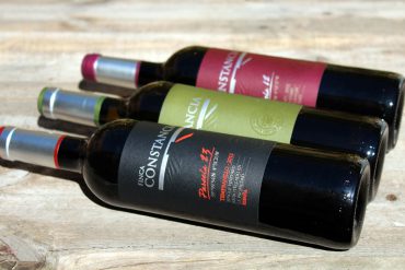 Vinos de Parcela Finca Constancia