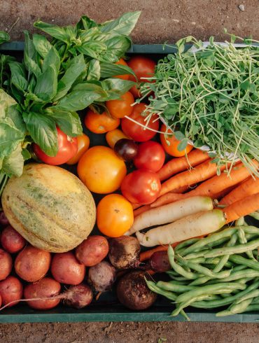 Alimentos ecológicos