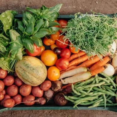 Alimentos ecológicos