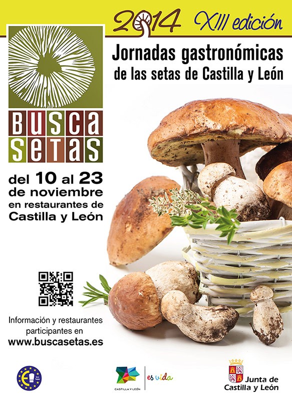 BuscaSetas 2014