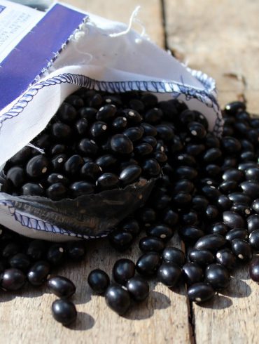 Alubias de Tolosa : Alubias del País Vasco