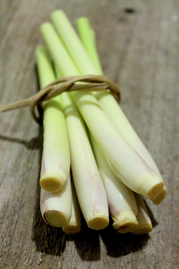 Citronela o Lemon Grass