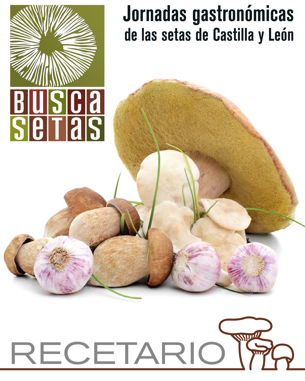 BUSCASETAS 2014