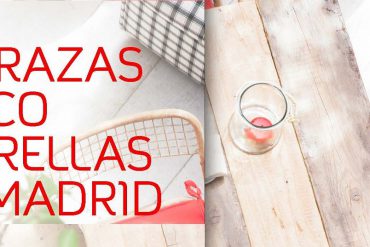 terrazas cinco estrellas de mahou - las mejores terrazas de madrid