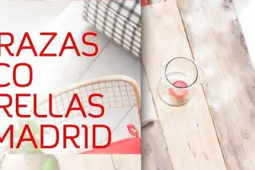 terrazas cinco estrellas de mahou - las mejores terrazas de madrid