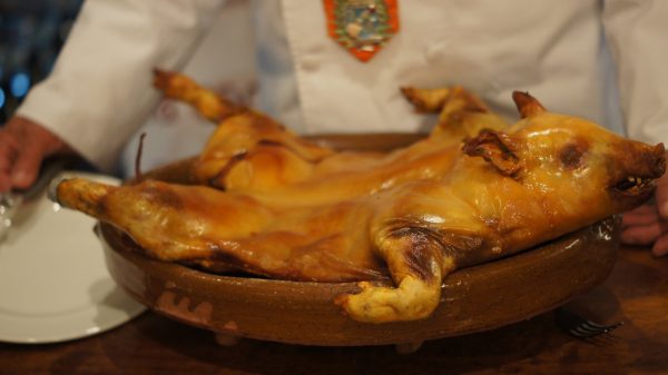 Cochinillo asado, receta e ingredientes