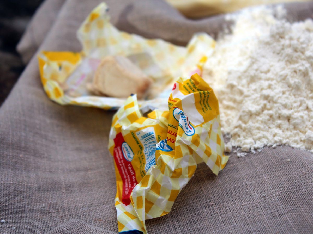 Levadura fresca