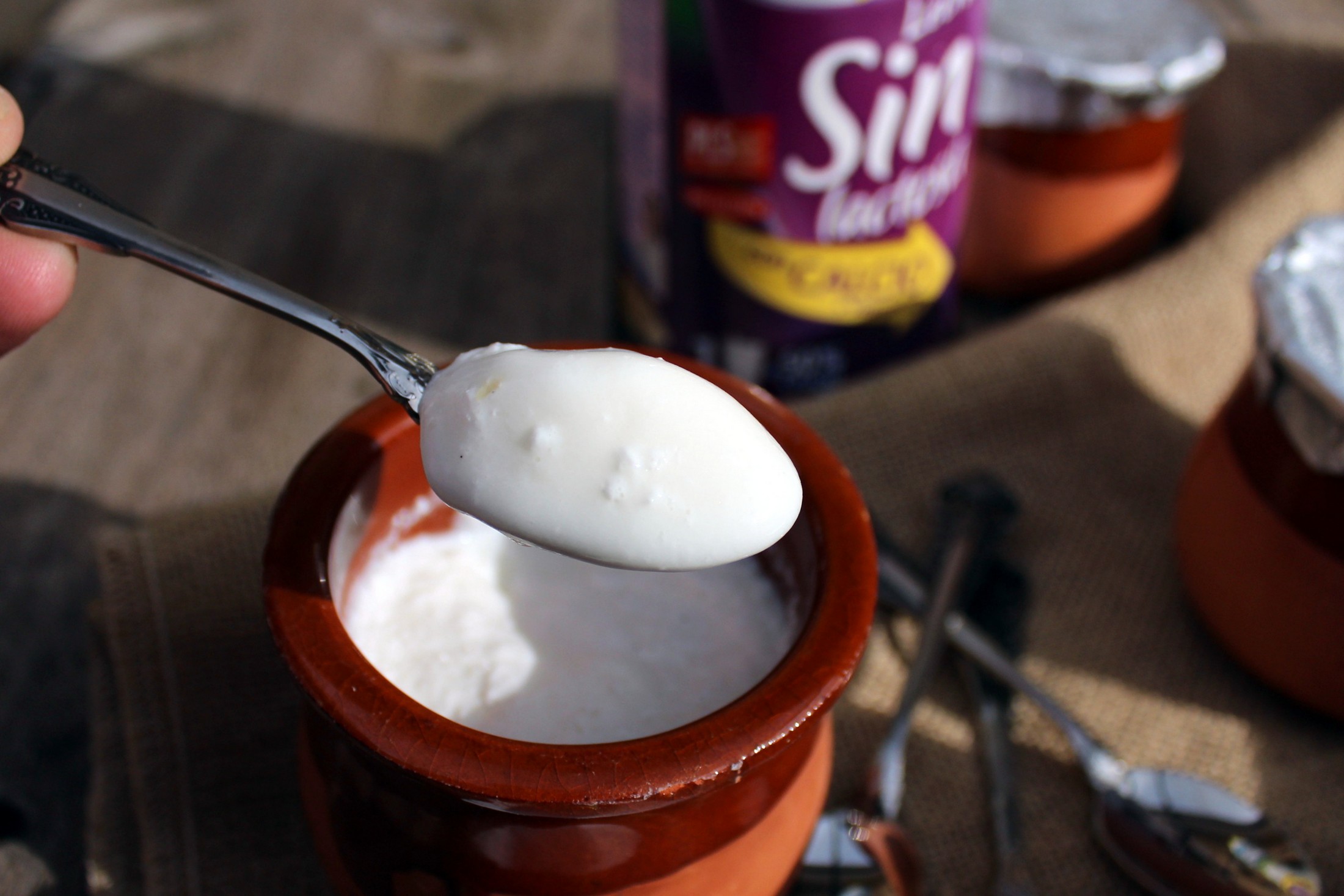 Como hacer yogures caseros sin lactosa, receta fácil