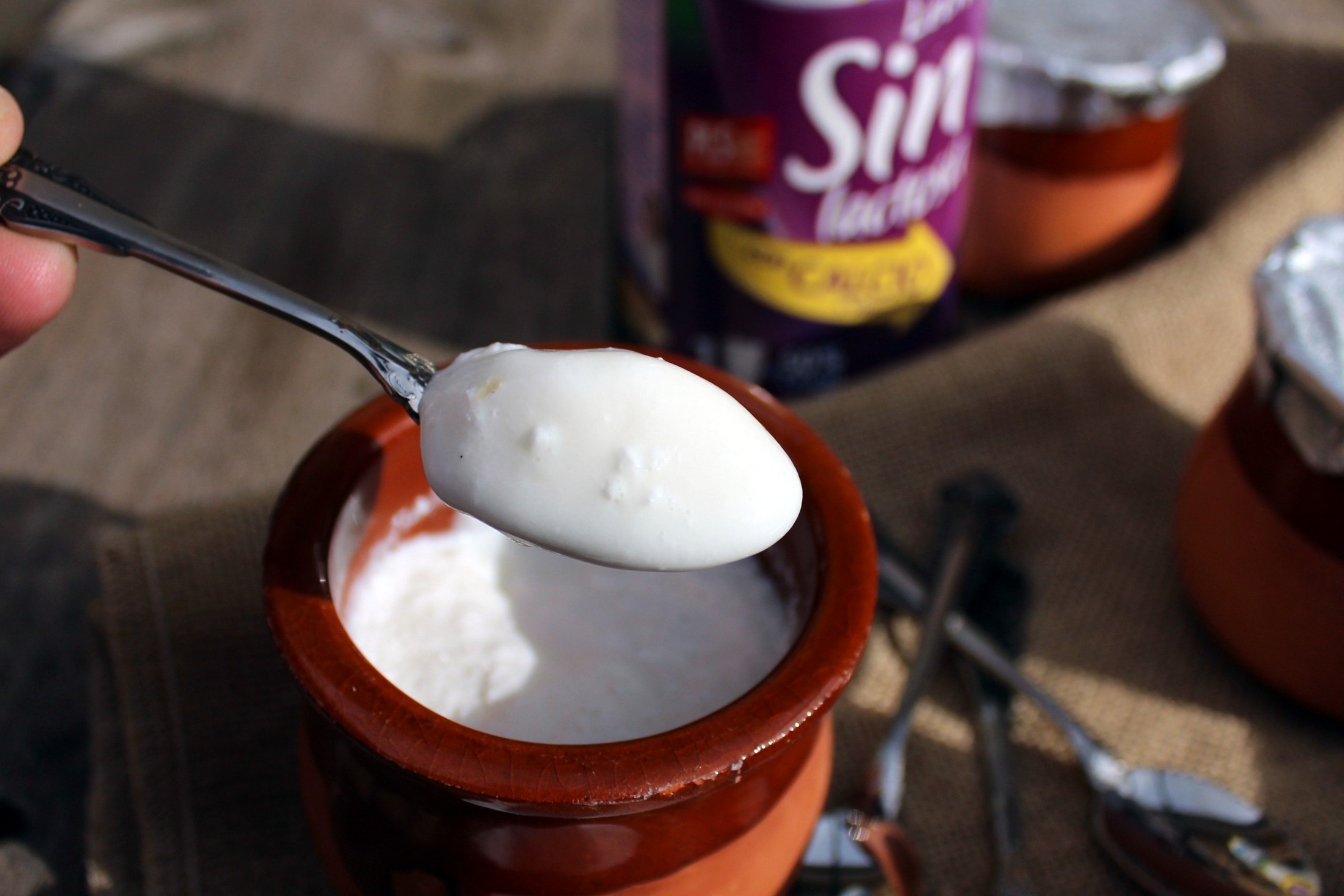 Yogures caseros con leche sin lactosa (4)