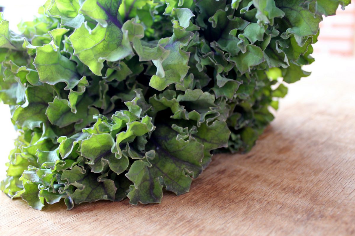 Kale, el superalimento de moda