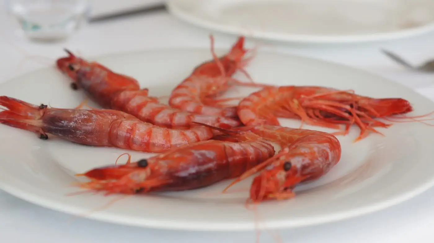 Gamba Roja Ibicenca (Sa Nansa)