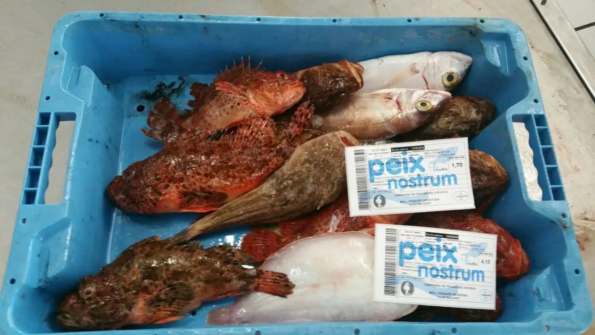 Marca de Calidad Peix Nostrum