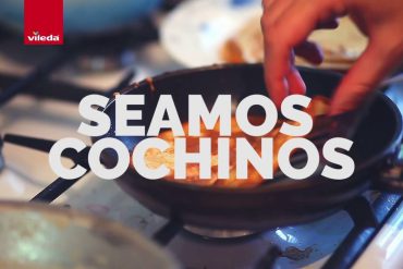 seamos cochinos en la cocina - vileda