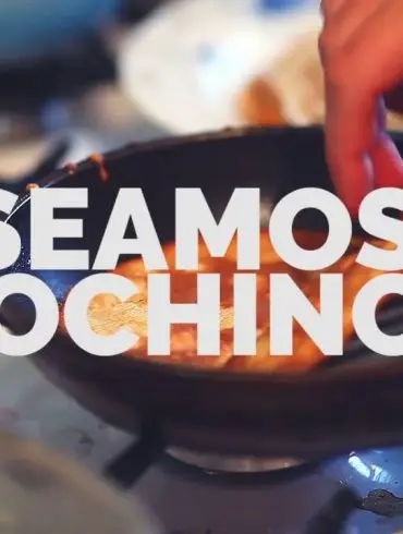 seamos cochinos en la cocina - vileda