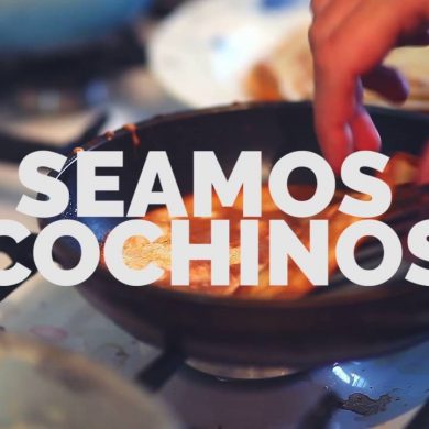 seamos cochinos en la cocina - vileda