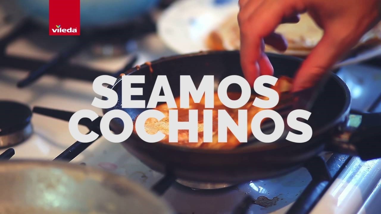 seamos cochinos en la cocina - vileda