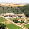 bodega-conde-de-san-cristobal-penafiel