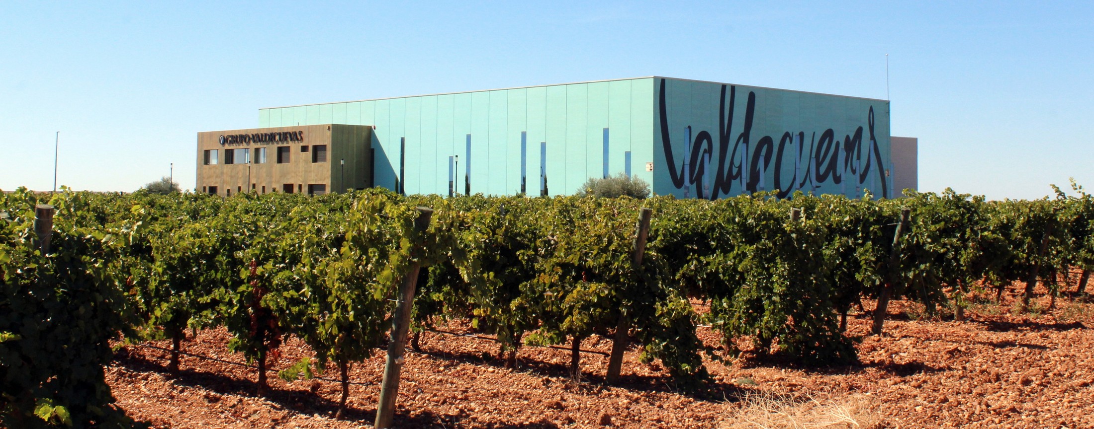 Bodega Valdecuevas