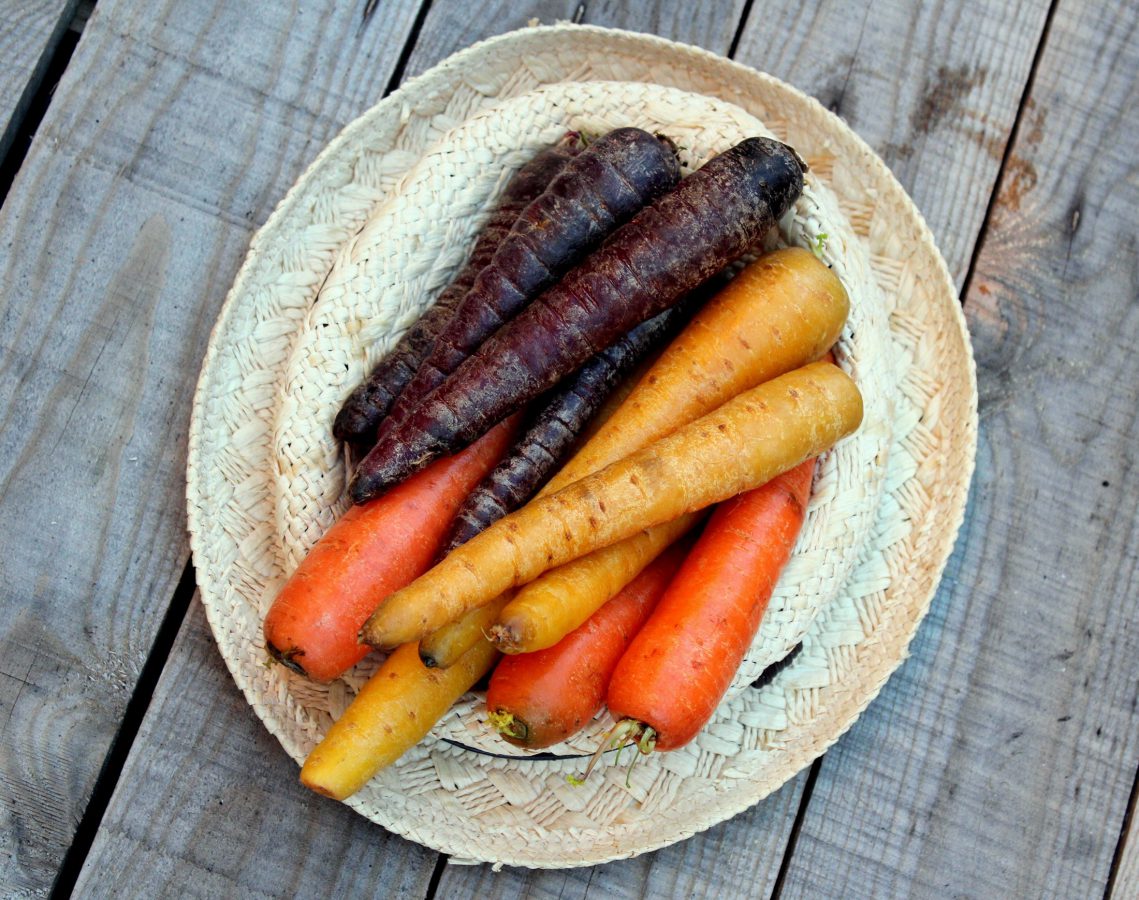 Zanahorias de colores