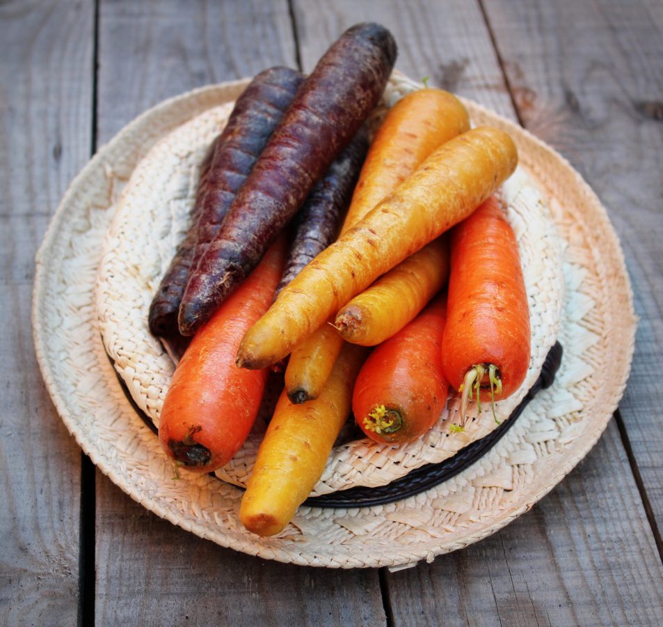 Zanahorias de colores