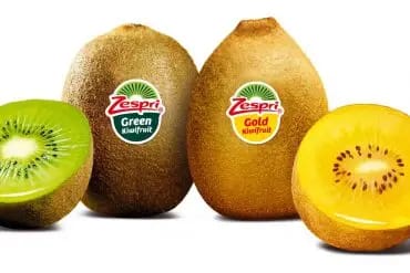 Kiwi, una fruta deliciosa y muy saludable