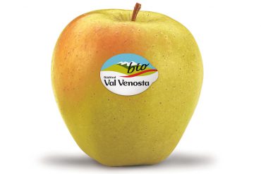 Manzanas Val Venosta, el sabor de la naturaleza