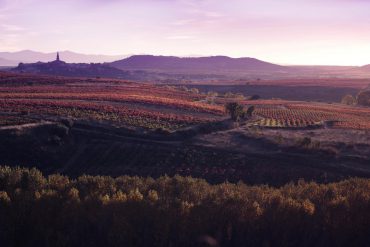 Bodegas Vivanco - Briones - La Rioja