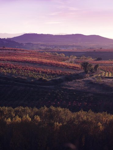 Bodegas Vivanco - Briones - La Rioja