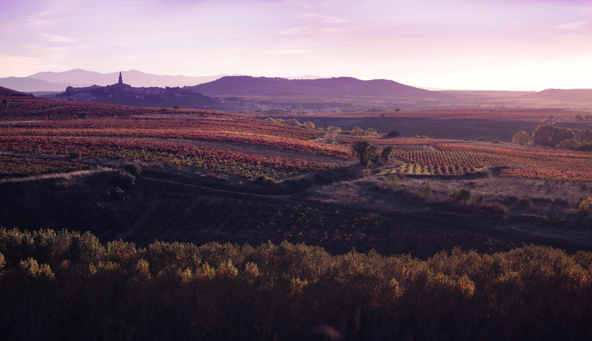 Bodegas Vivanco - Briones - La Rioja