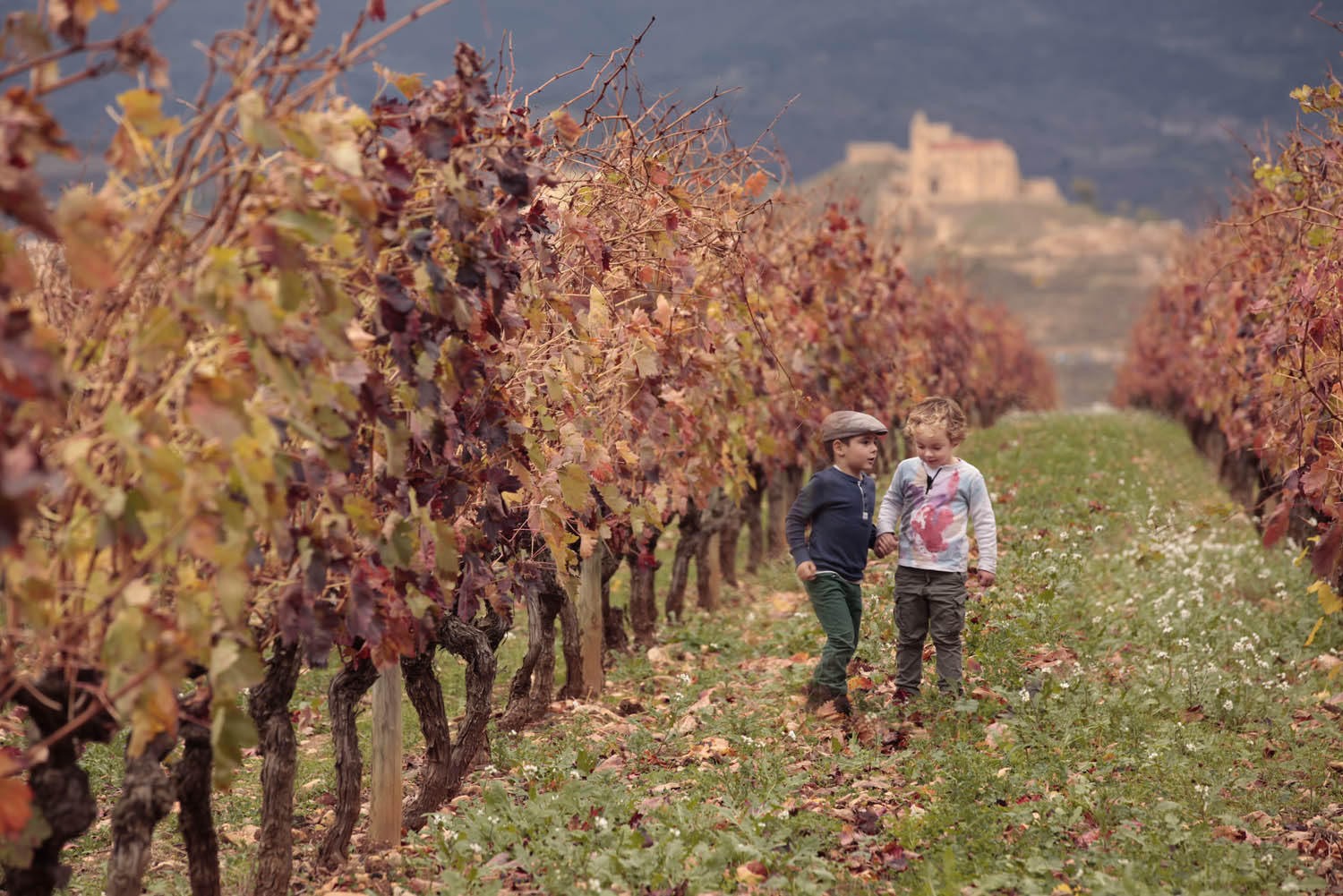 Niños La rioja Viñedos