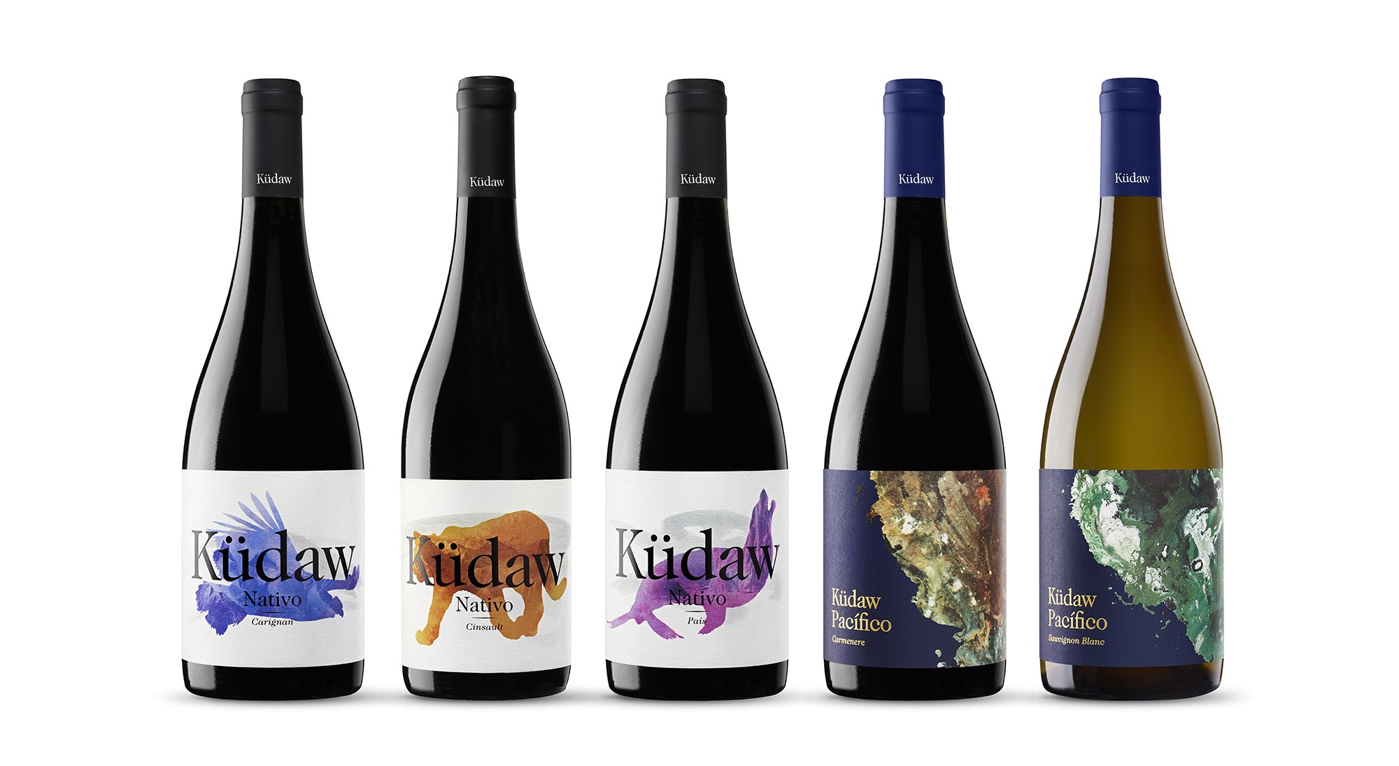 Küdaw, los vinos chilenos de Vintae