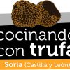 Concurso Internacional de Cocina con Trufa en Soria