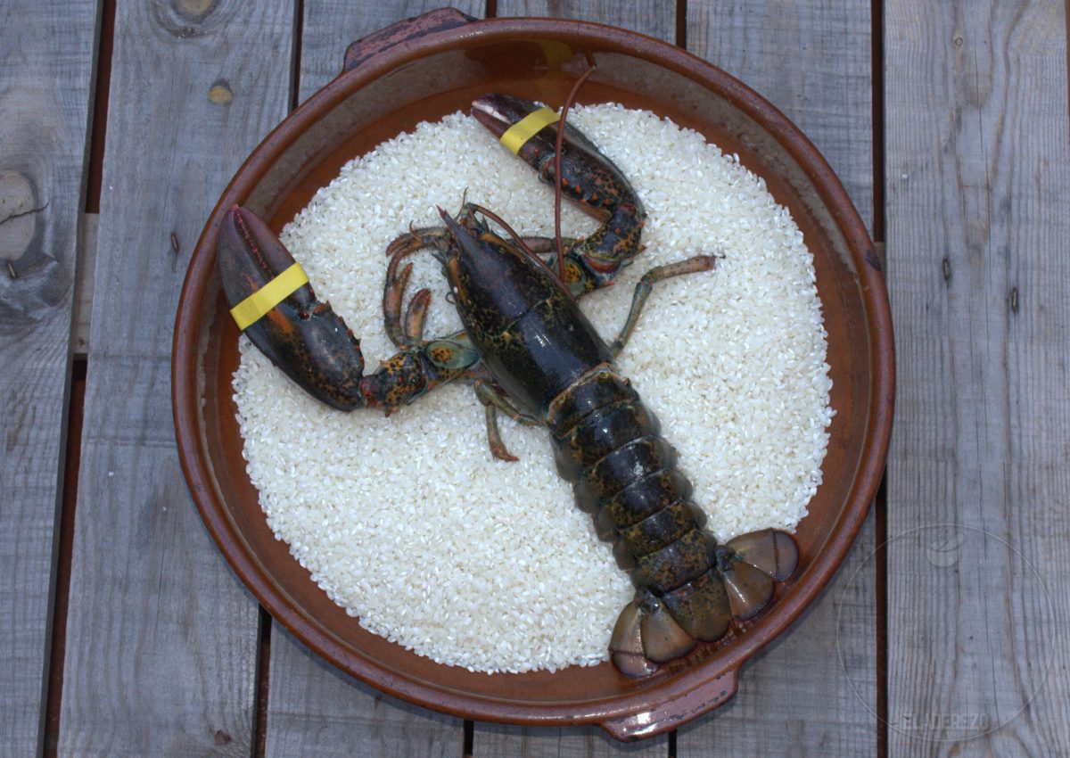 arroz con bogavante