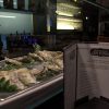 barra sagardi-