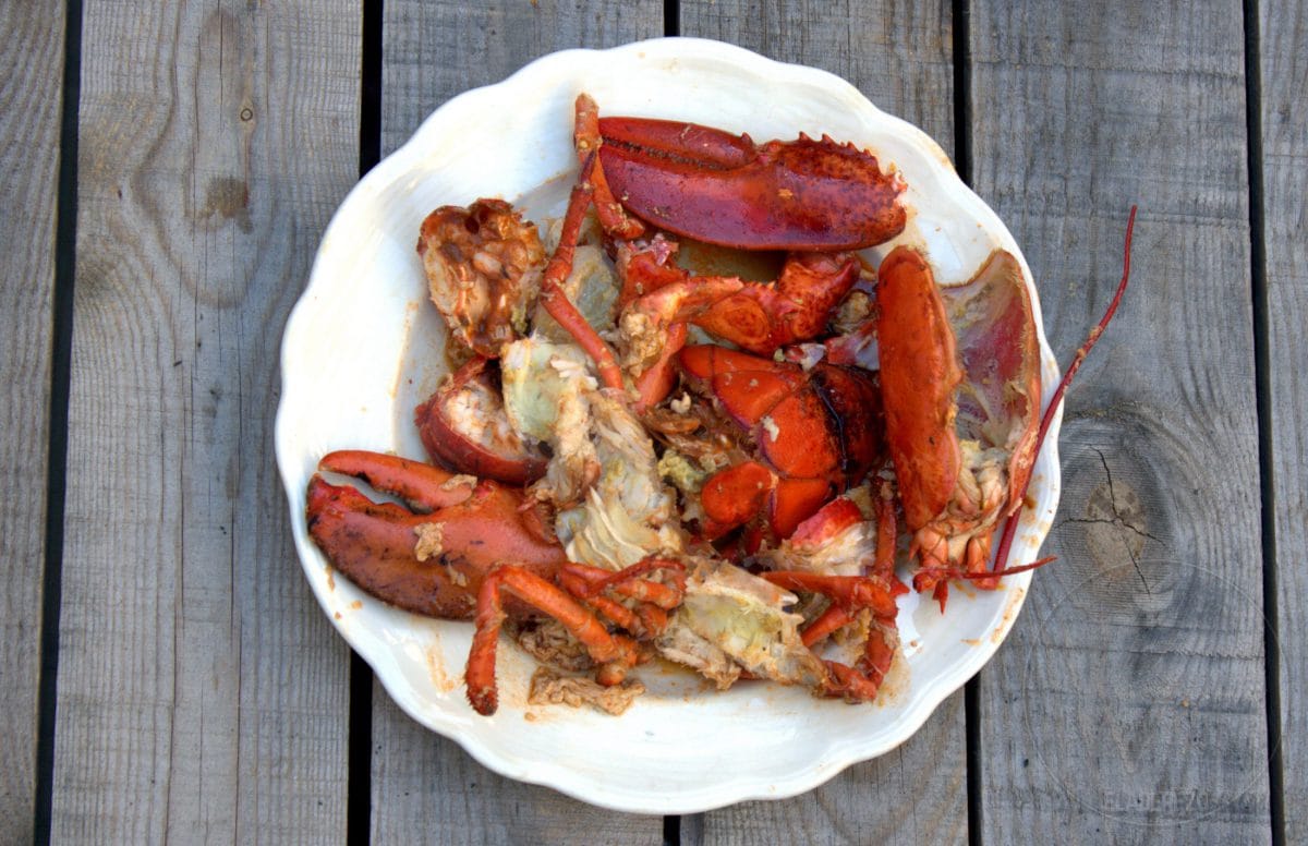 bogavante cocido