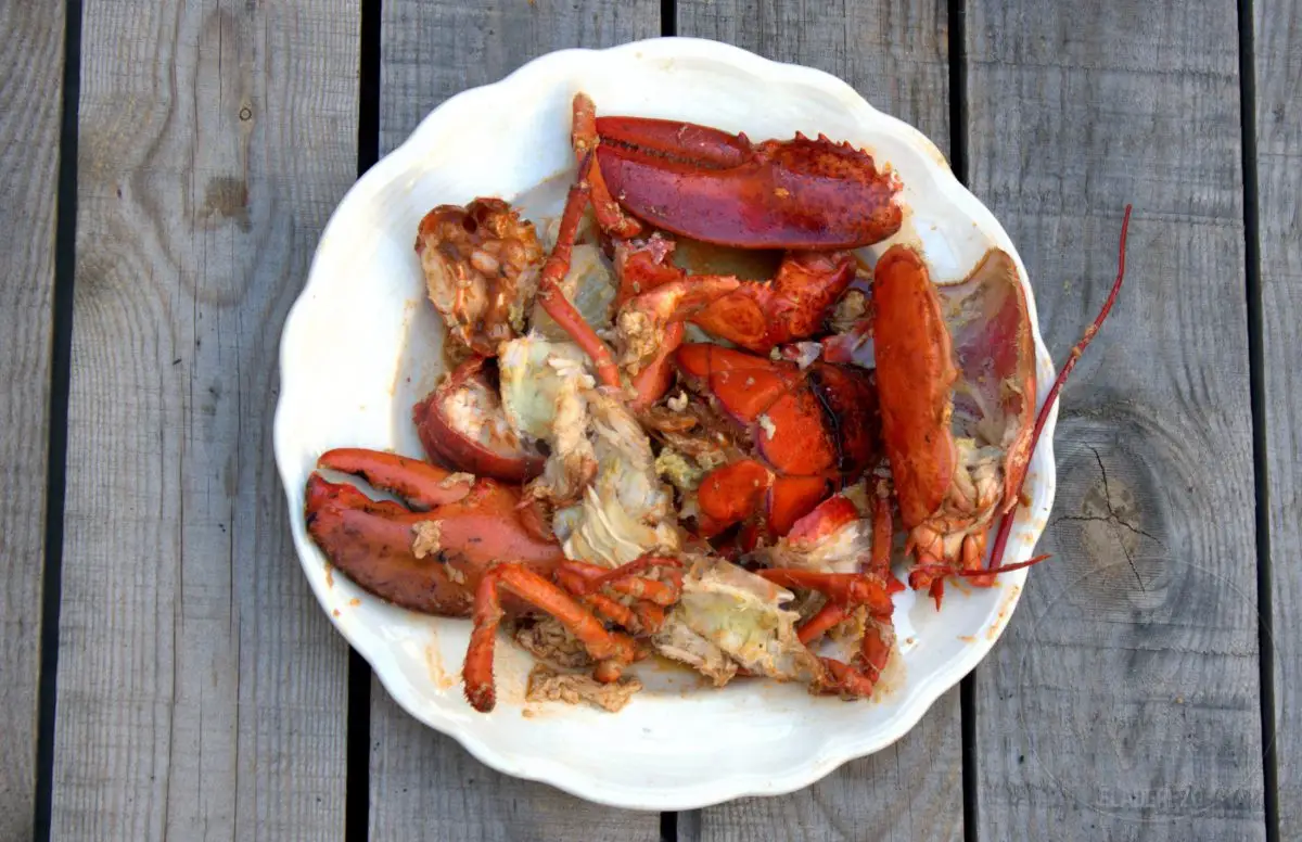 bogavante cocido