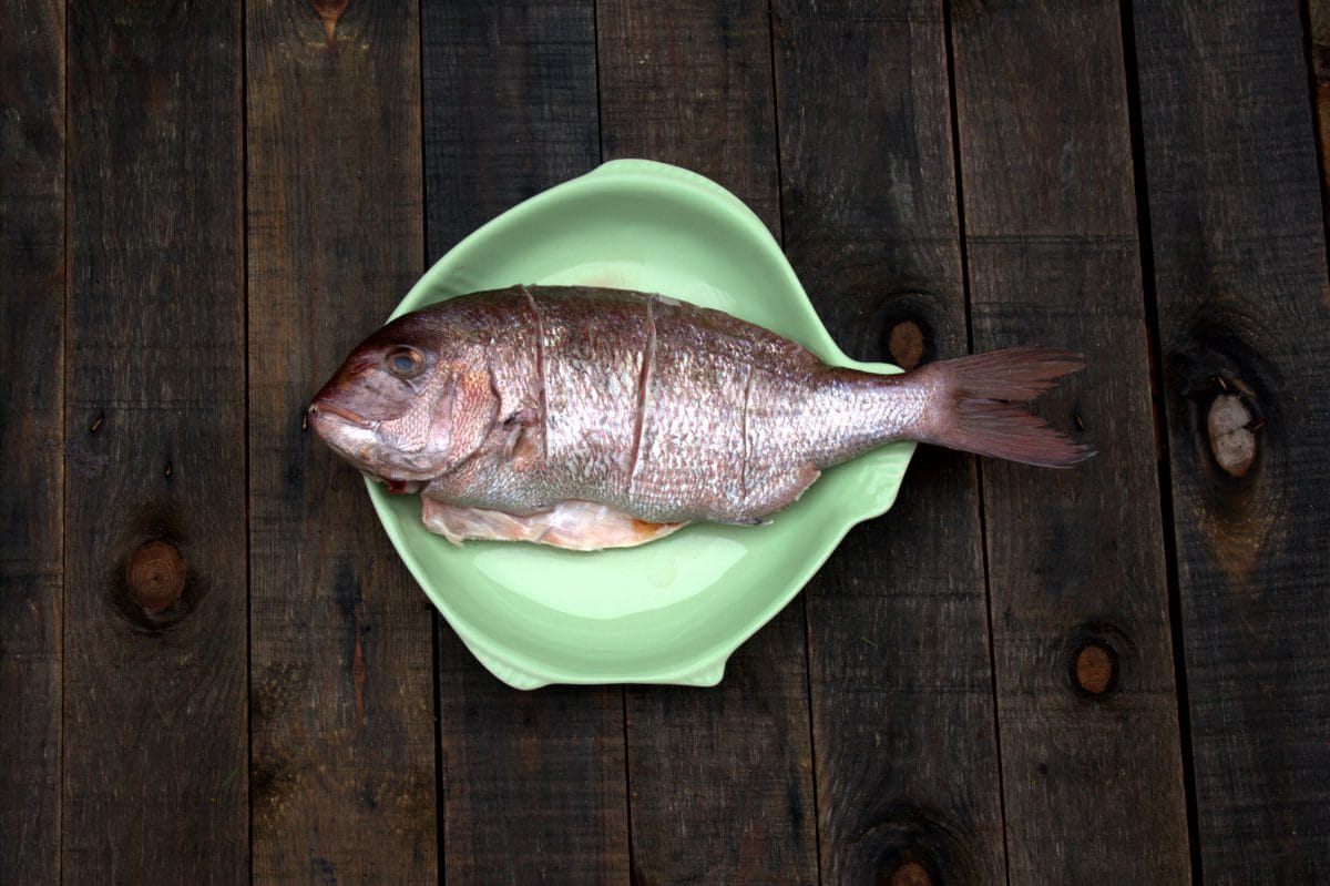 pargo al horno