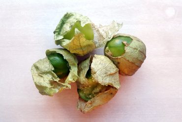 tomatillos 2