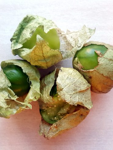 tomatillos 2