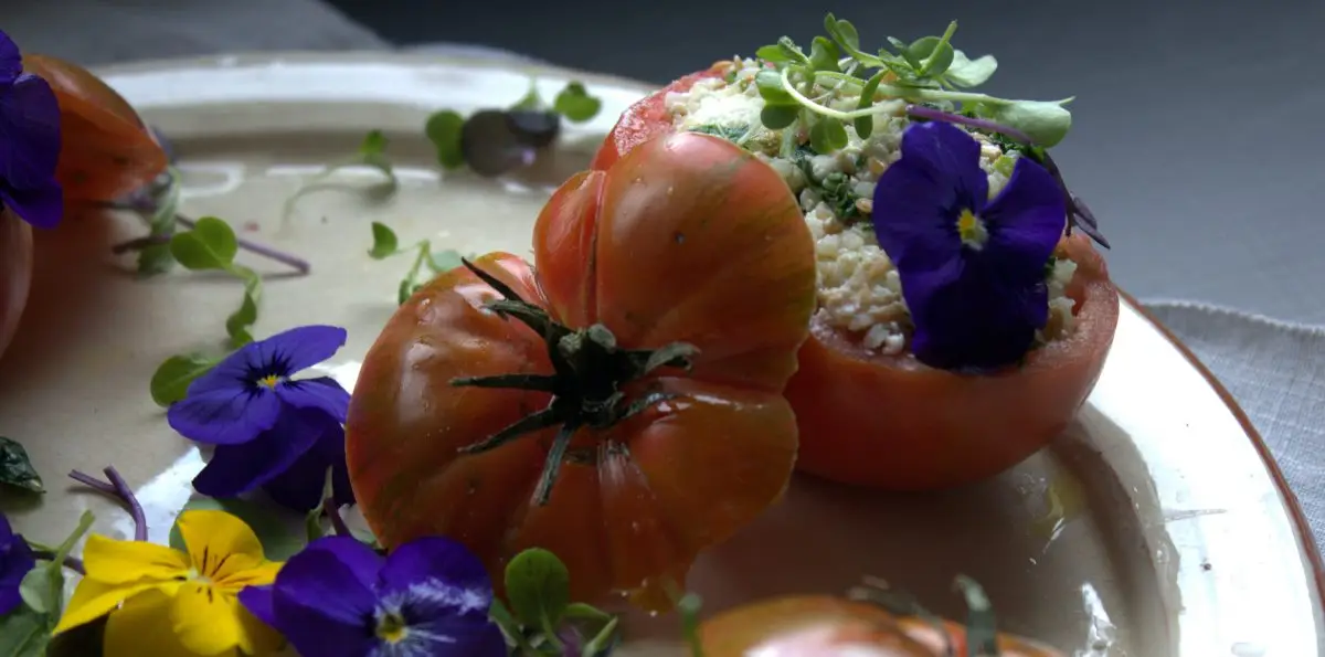 tomates rellenos 2