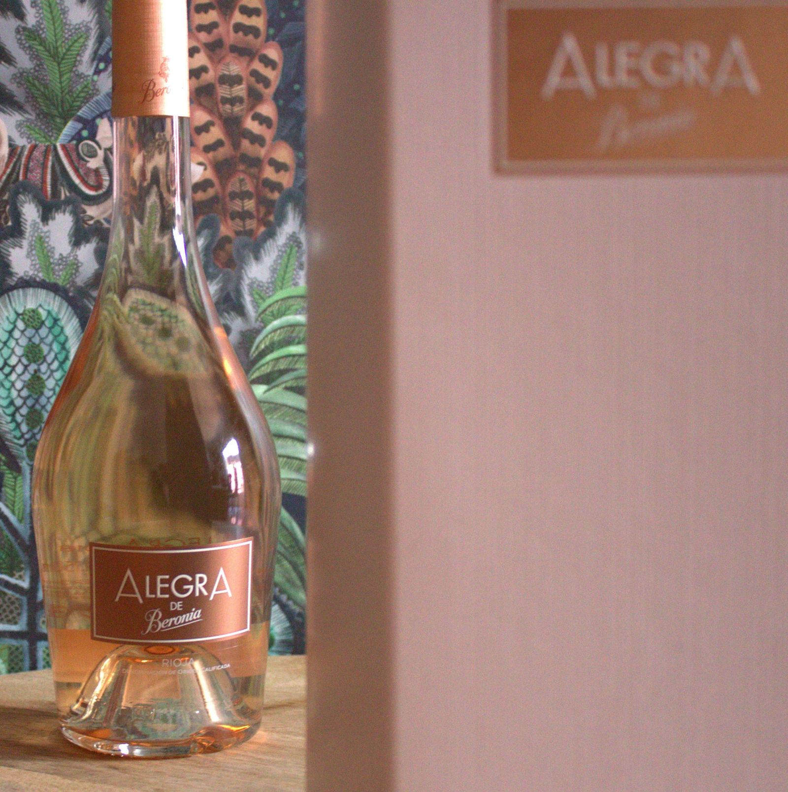 alegra de beronia 3