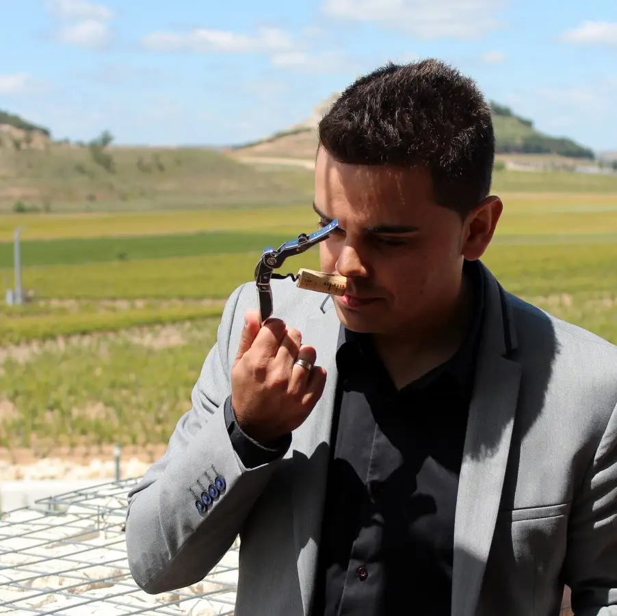 pedro-ruiz-bodegas-pago-de-carraovejas-