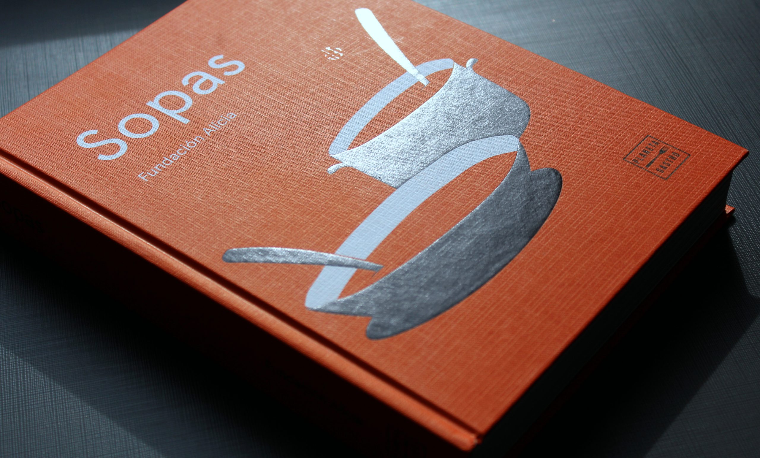 sopas - fundacion alicia