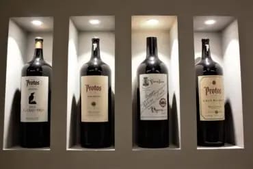 Enoturismo bodegas protos
