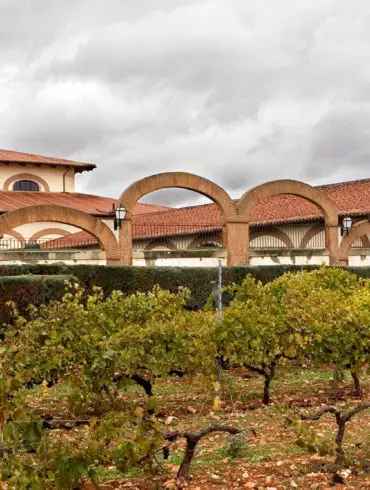 Viñedo de Bodegas Fariña en la Denominación de Origen Toro
