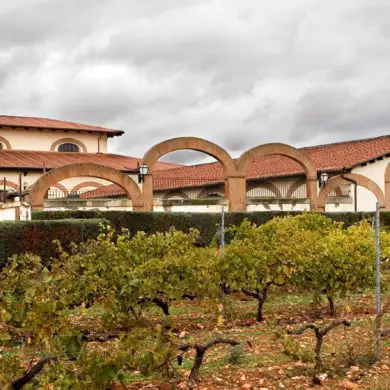 Viñedo de Bodegas Fariña en la Denominación de Origen Toro