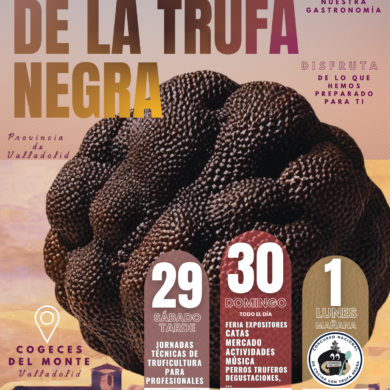 FERIA DE LA TRUFA