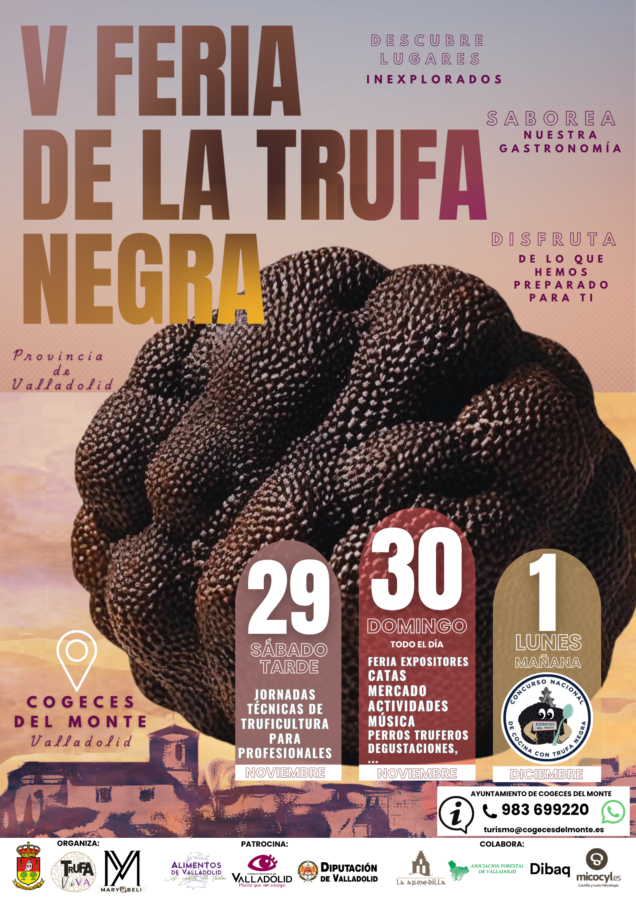 Feria de la trufa negra de cogeces del monte